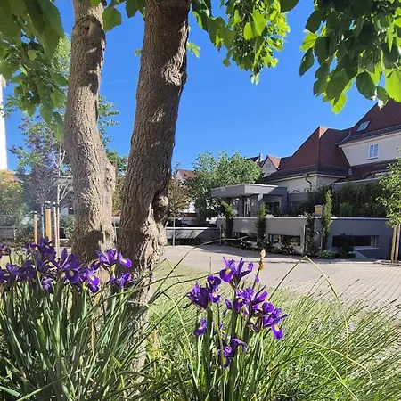 Primavera Parco Hotel 3*