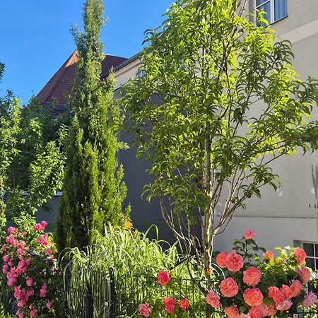 Primavera Parco 3*